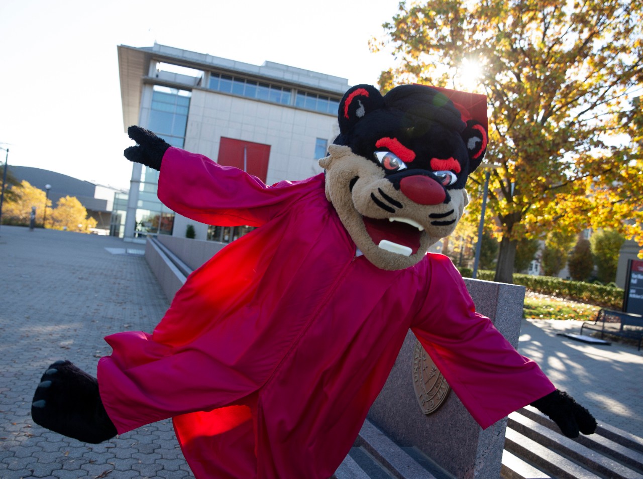 Bearcat celebrates graduation in his cap and gown.